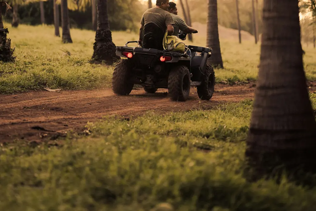 ATV ride on a dirt trail among palm trees