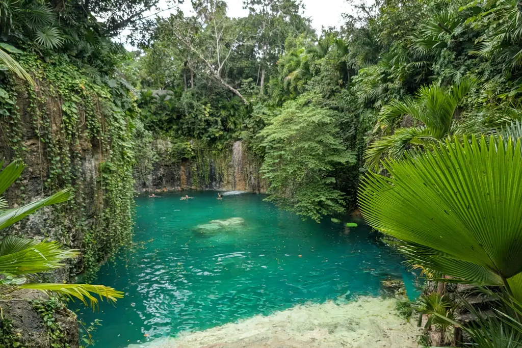 Cenote in the middle of the jungle, Tulum municipality