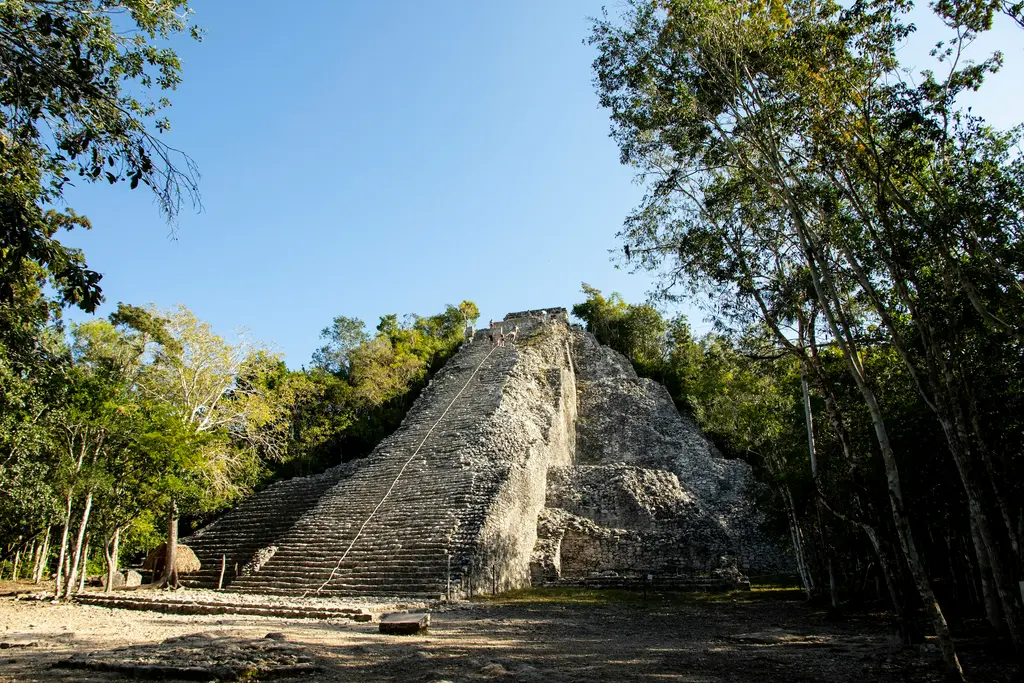 Nohoch Mul pyramid in Cobá surrounded by jungle