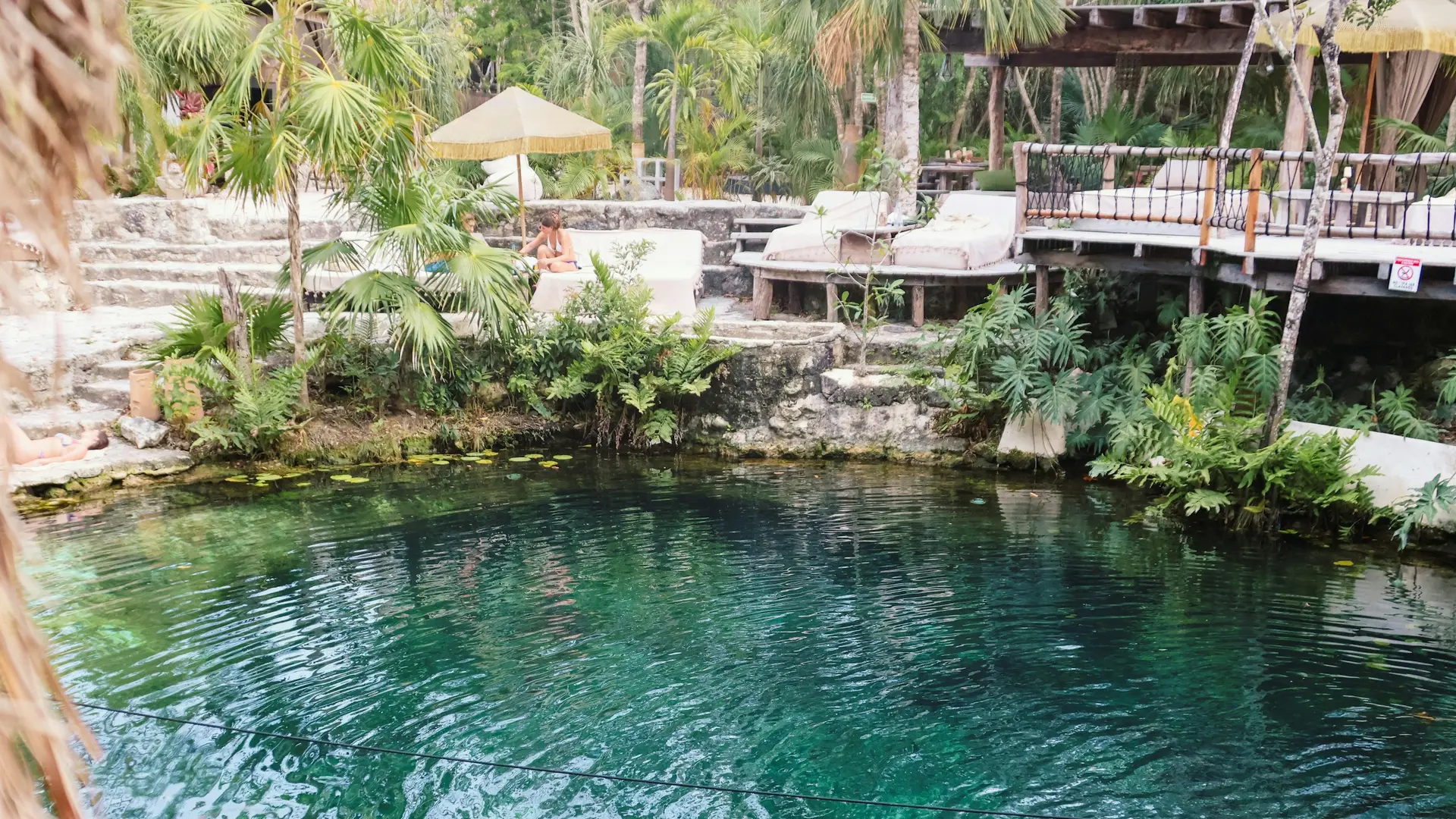 Open cenote surrounded by jungle in Tulum