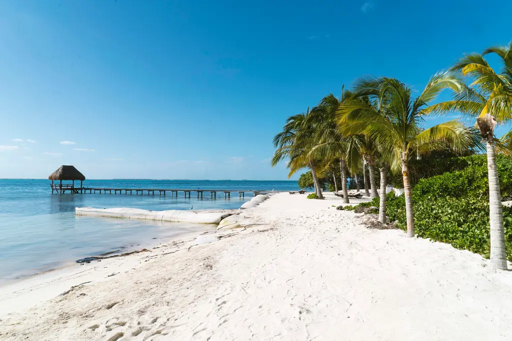 White-sand beach with palm trees in the Mexican Caribbean